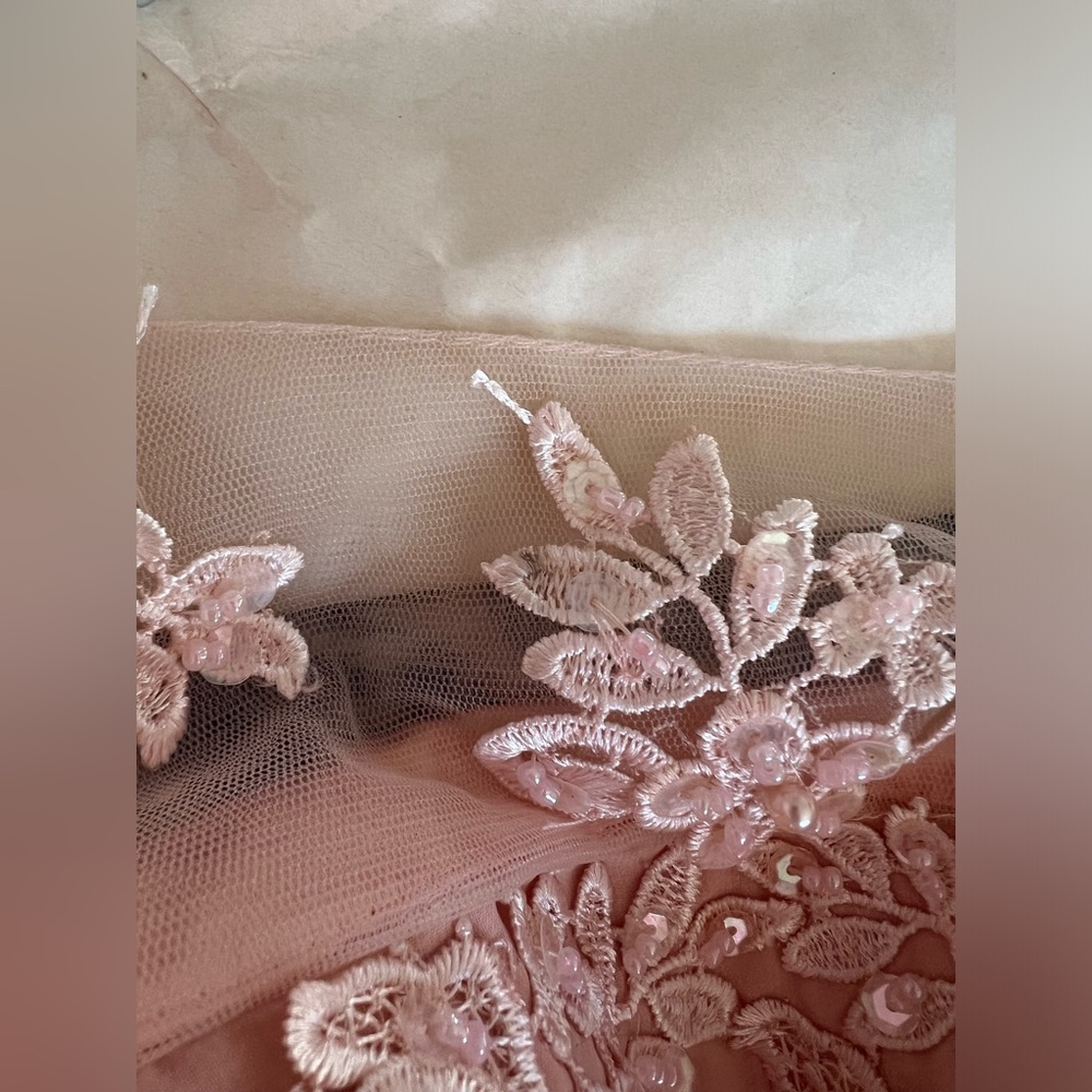 Light Pink Embroidered and Beaded Prom Dress - Picture 2 of 9